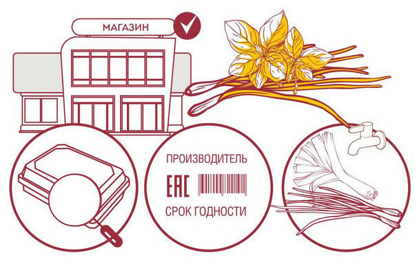 Международный день здорового пищеварения